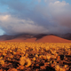 Image for article titled The microbes in Earth's most arid volcanoes are unlike anything we've seen before